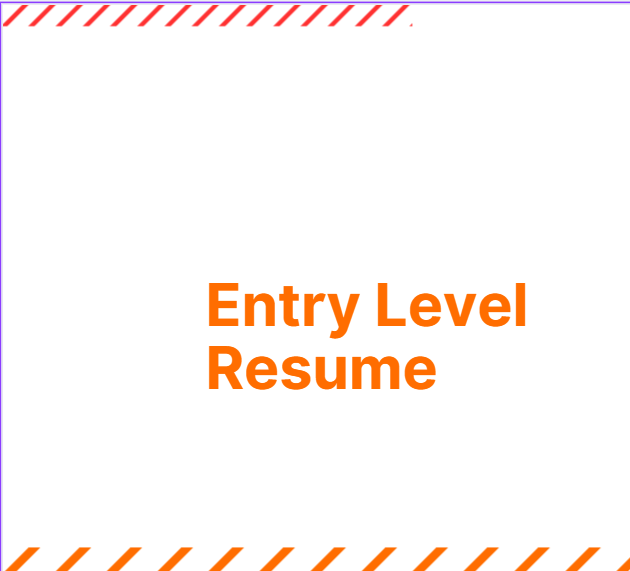 Entry Level Resume